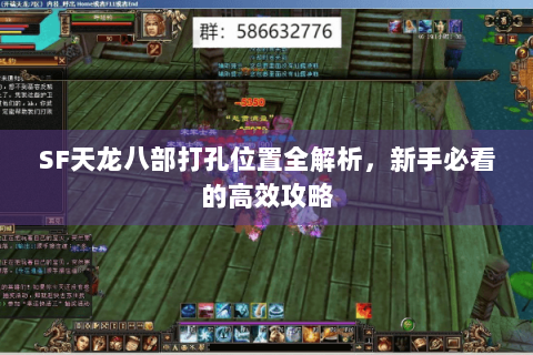 SF天龙八部打孔位置全解析,新手必看的高效攻略 SF天龙八部打孔位置全解析,新手必看的高效攻略