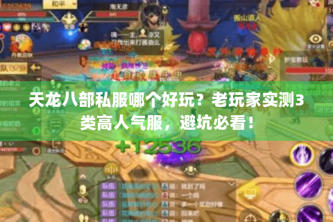 天龙八部私服哪个好玩?老玩家实测3类高人气服,避坑必看! 天龙八部私服哪个好玩?老玩家实测3类高人气服,避坑必看!