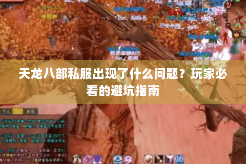 天龙八部私服出现了什么问题?玩家必看的避坑指南 天龙八部私服出现了什么问题?玩家必看的避坑指南