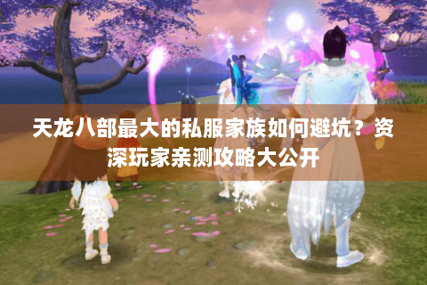 天龙八部最大的私服家族如何避坑?资深玩家亲测攻略大公开 天龙八部最大的私服家族如何避坑?资深玩家亲测攻略大公开