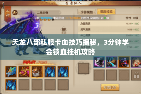 天龙八部私服卡血技巧揭秘,3分钟学会锁血挂机攻略 天龙八部私服卡血技巧揭秘,3分钟学会锁血挂机攻略