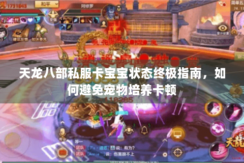 天龙八部私服卡宝宝状态终极指南,如何避免宠物培养卡顿 天龙八部私服卡宝宝状态终极指南,如何避免宠物培养卡顿