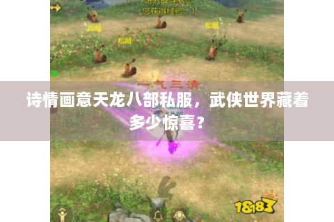 诗情画意天龙八部私服，武侠世界藏着多少惊喜？