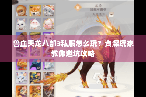 兽血天龙八部3私服怎么玩？资深玩家教你避坑攻略