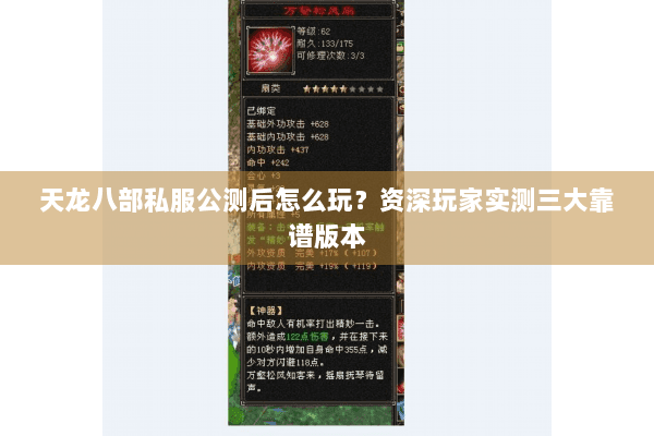 天龙八部私服公测后怎么玩?资深玩家实测三大靠谱版本 天龙八部私服公测后怎么玩?资深玩家实测三大靠谱版本
