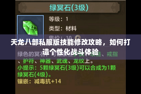 天龙八部私服版技能修改攻略，如何打造个性化战斗体验