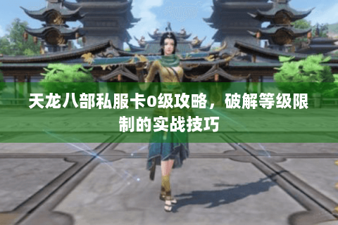 天龙八部私服卡0级攻略,破解等级限制的实战技巧 天龙八部私服卡0级攻略,破解等级限制的实战技巧
