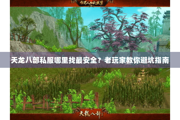 天龙八部私服哪里找最安全？老玩家教你避坑指南