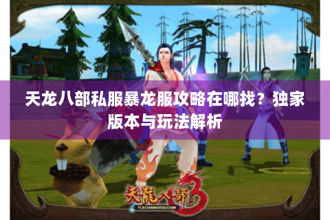 天龙八部私服暴龙服攻略在哪找？独家版本与玩法解析