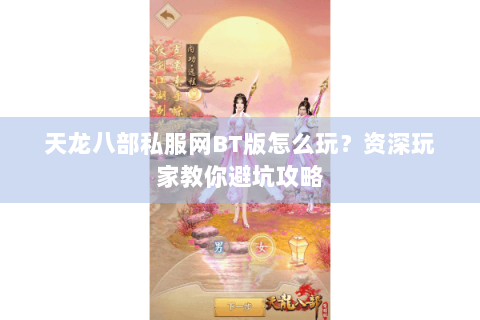 天龙八部私服网BT版怎么玩？资深玩家教你避坑攻略