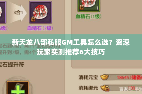 新天龙八部私服GM工具怎么选?资深玩家实测推荐6大技巧 新天龙八部私服GM工具怎么选?资深玩家实测推荐6大技巧