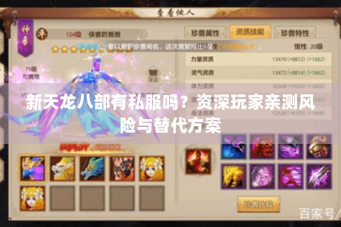 新天龙八部有私服吗?资深玩家亲测风险与替代方案 新天龙八部有私服吗?资深玩家亲测风险与替代方案