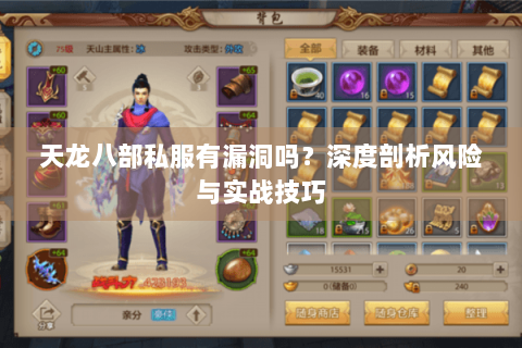 天龙八部私服有漏洞吗？深度剖析风险与实战技巧