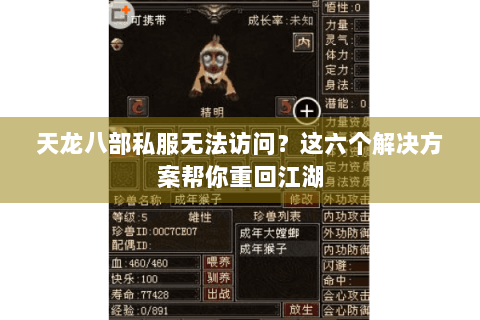 天龙八部私服无法访问？这六个解决方案帮你重回江湖