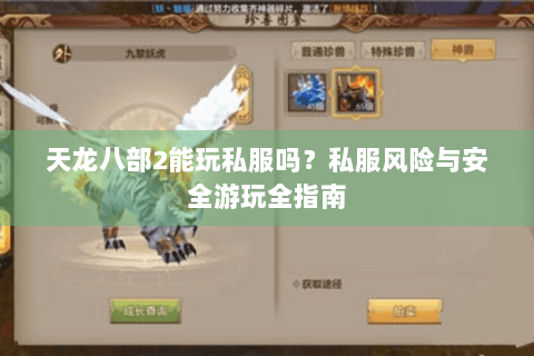 天龙八部2能玩私服吗?私服风险与安全游玩全指南 天龙八部2能玩私服吗?私服风险与安全游玩全指南