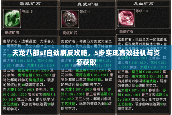 天龙八部sf自动刷反攻略，5步实现高效挂机与资源获取