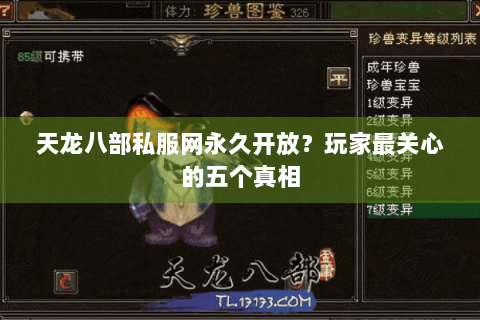 天龙八部私服网永久开放？玩家最关心的五个真相