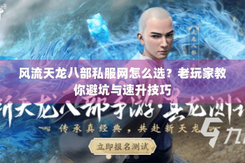 风流天龙八部私服网怎么选？老玩家教你避坑与速升技巧