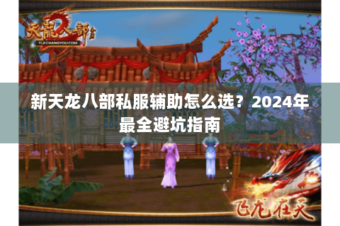 新天龙八部私服辅助怎么选？2024年最全避坑指南