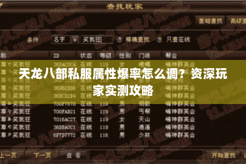 天龙八部私服属性爆率怎么调?资深玩家实测攻略 天龙八部私服属性爆率怎么调?资深玩家实测攻略