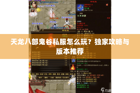 天龙八部鬼谷私服怎么玩？独家攻略与版本推荐