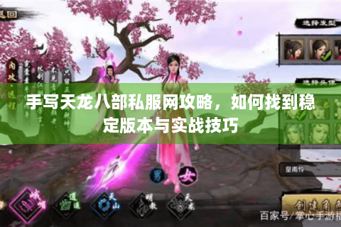 手写天龙八部私服网攻略，如何找到稳定版本与实战技巧