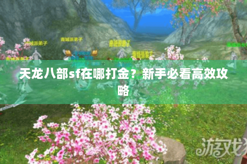 天龙八部sf在哪打金?新手必看高效攻略 天龙八部sf在哪打金?新手必看高效攻略