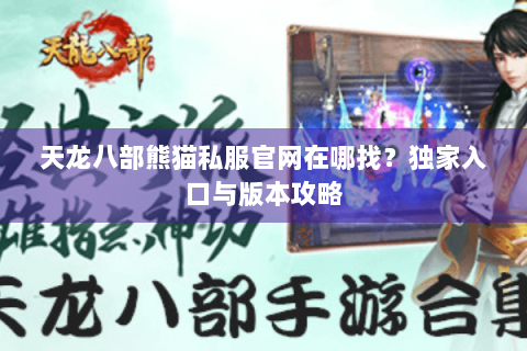 天龙八部熊猫私服官网在哪找？独家入口与版本攻略