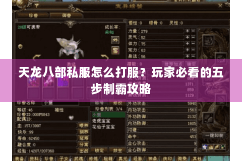 天龙八部私服怎么打服?玩家必看的五步制霸攻略 天龙八部私服怎么打服?玩家必看的五步制霸攻略