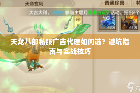 天龙八部私服广告代理如何选?避坑指南与实战技巧 天龙八部私服广告代理如何选?避坑指南与实战技巧