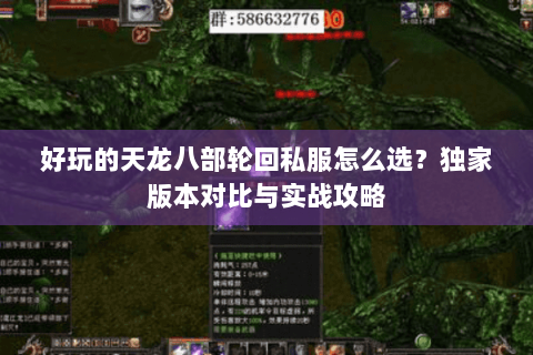 好玩的天龙八部轮回私服怎么选?独家版本对比与实战攻略 好玩的天龙八部轮回私服怎么选?独家版本对比与实战攻略
