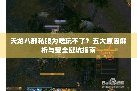 天龙八部私服为啥玩不了？五大原因解析与安全避坑指南