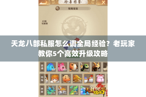天龙八部私服怎么调全局经验？老玩家教你5个高效升级攻略