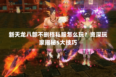 新天龙八部不删档私服怎么玩？资深玩家揭秘5大技巧