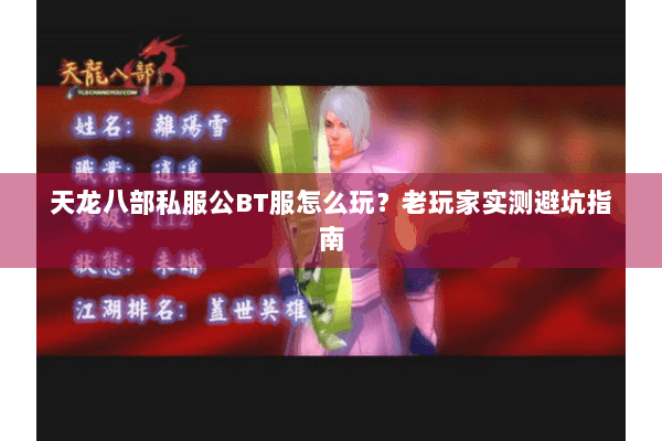 天龙八部私服公BT服怎么玩？老玩家实测避坑指南