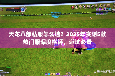 天龙八部私服怎么选?2025年实测5款热门服深度横评,避坑必看 天龙八部私服怎么选?2025年实测5款热门服深度横评,避坑必看
