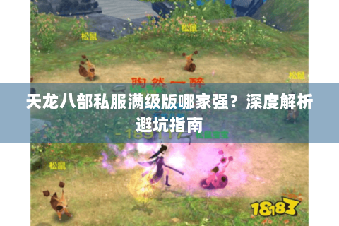 天龙八部私服满级版哪家强？深度解析避坑指南