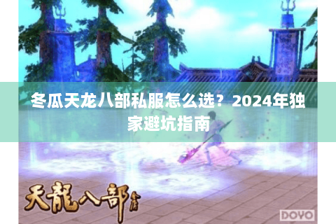 冬瓜天龙八部私服怎么选？2024年独家避坑指南