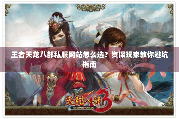 王者天龙八部私服网站怎么选？资深玩家教你避坑指南