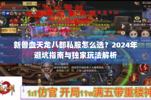 新兽血天龙八部私服怎么选？2024年避坑指南与独家玩法解析