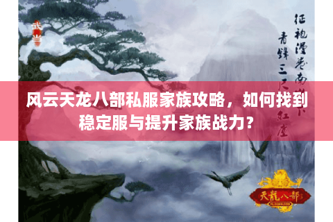 风云天龙八部私服家族攻略，如何找到稳定服与提升家族战力？