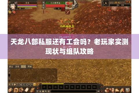 天龙八部私服还有工会吗？老玩家实测现状与组队攻略