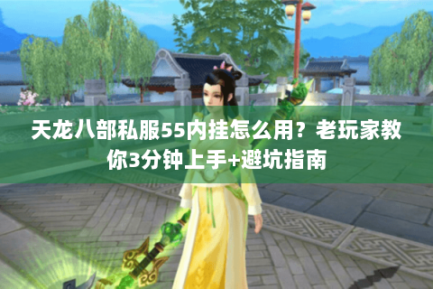 天龙八部私服55内挂怎么用？老玩家教你3分钟上手+避坑指南