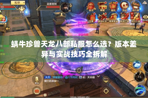 蜗牛珍兽天龙八部私服怎么选？版本差异与实战技巧全拆解