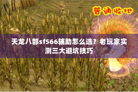 天龙八部sf566辅助怎么选？老玩家实测三大避坑技巧