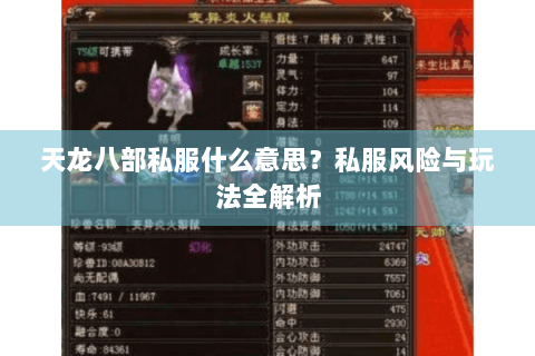 天龙八部私服什么意思？私服风险与玩法全解析