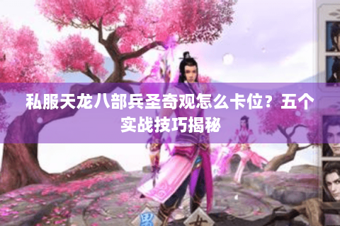 私服天龙八部兵圣奇观怎么卡位?五个实战技巧揭秘 私服天龙八部兵圣奇观怎么卡位?五个实战技巧揭秘