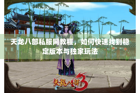 天龙八部私服网教程，如何快速找到稳定版本与独家玩法
