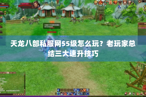 天龙八部私服网55级怎么玩？老玩家总结三大速升技巧