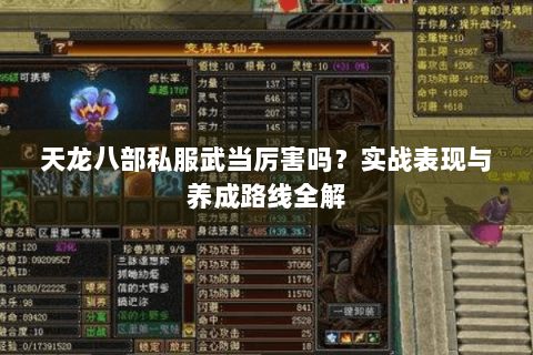 天龙八部私服武当厉害吗?实战表现与养成路线全解 天龙八部私服武当厉害吗?实战表现与养成路线全解